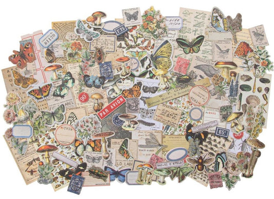 Tim Holtz - Idea-ology - Ephemera Pack - Field Notes Snippets