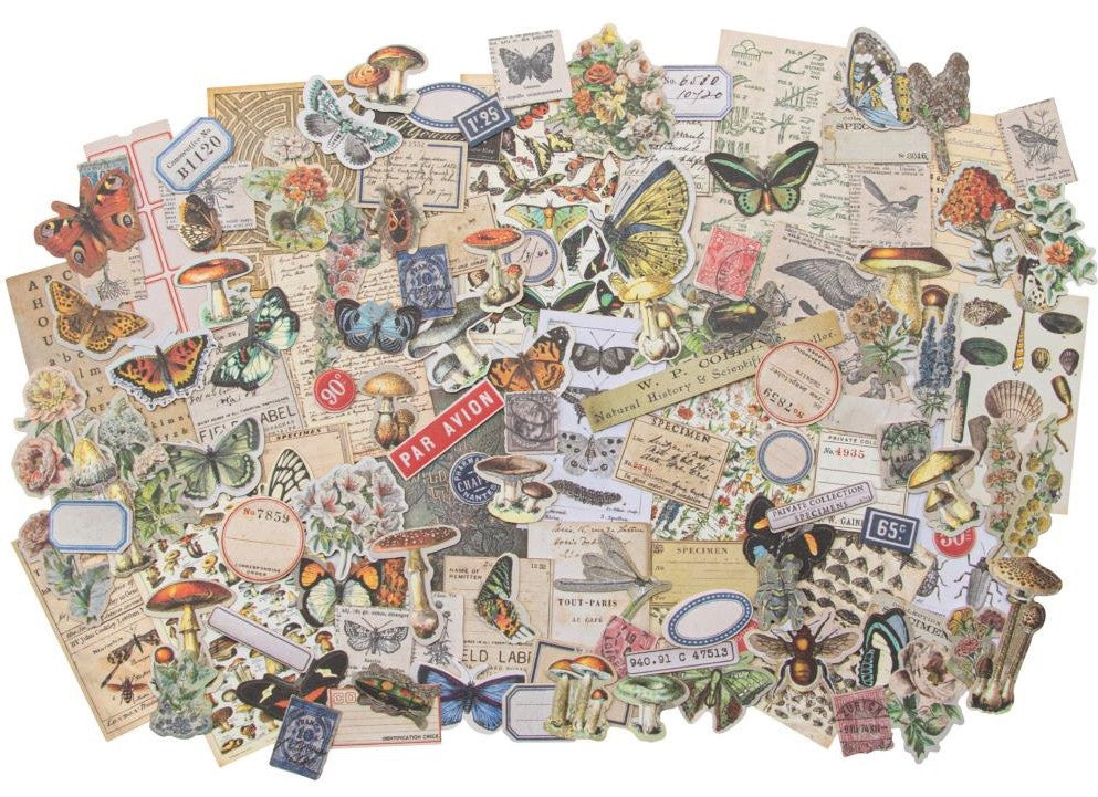 Tim Holtz - Idea-ology - Ephemera Pack - Field Notes Snippets