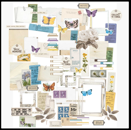 49 und Märkte – Kuratoren Botanische Ephemera-Bits