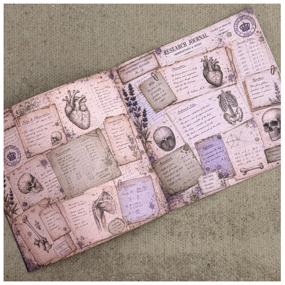 IndigoBlu - The Anatomist's Cabinet