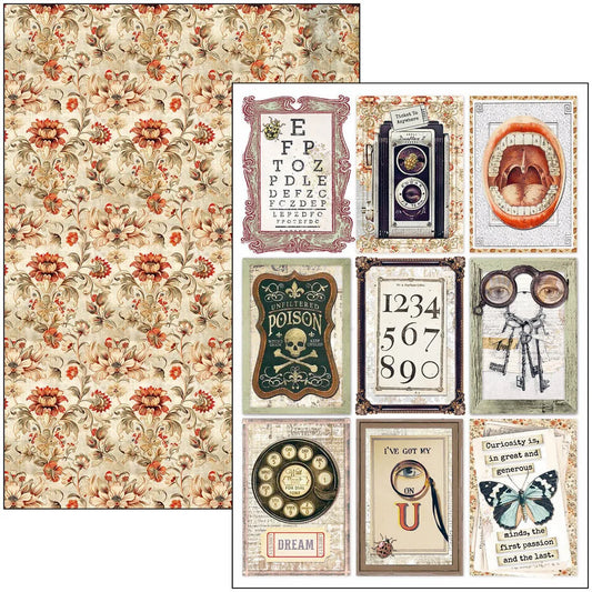 Ciao Bella Cabinet of curiosities A4 creative Pad