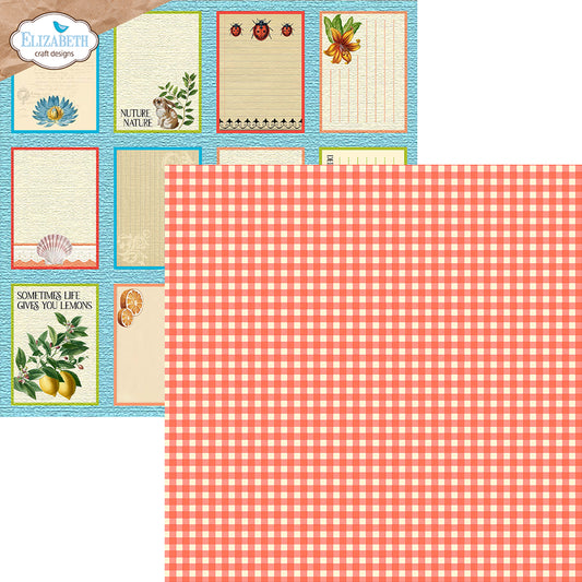 ECD-Papier Colorful Collective