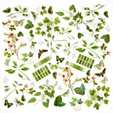 49 and Market - Color Swatch Willow - Willow Acetate Assortment