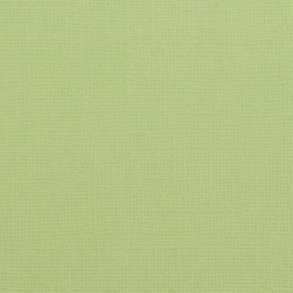 Cardstock Florence - 066 Anise