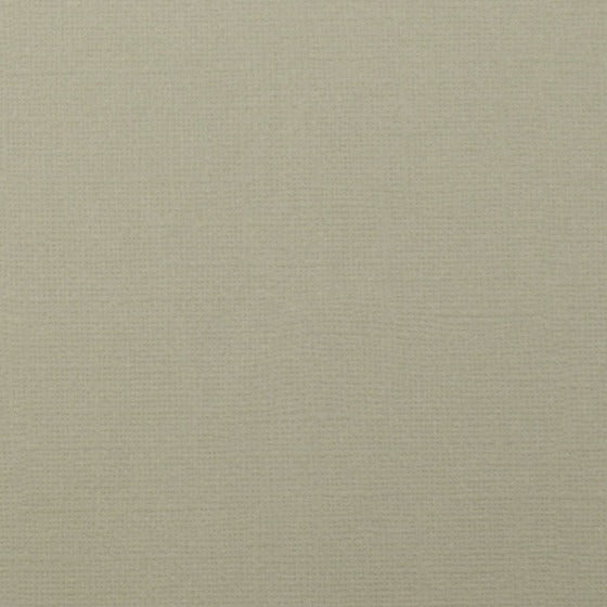 Cardstock Florence - 083 Mouse