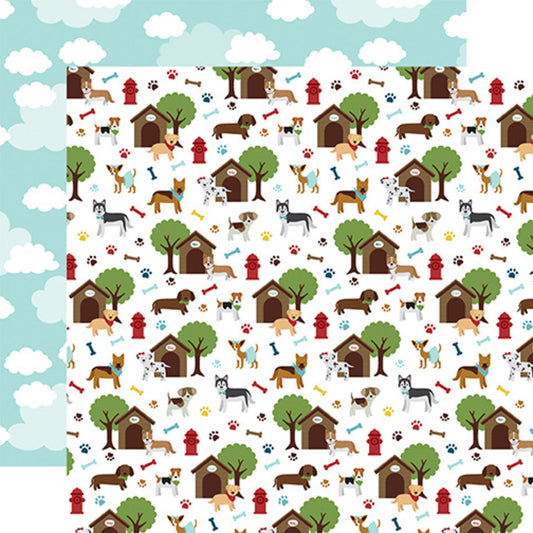 Mein Hundetransporter