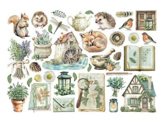 Stamperia Ephemera Herbarium Silvae