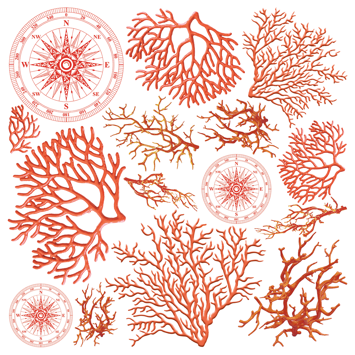 Ciao Bella Coral reef vellum papers