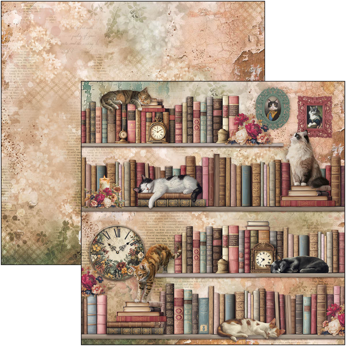 Cia0 Bella Booklovers paper pads