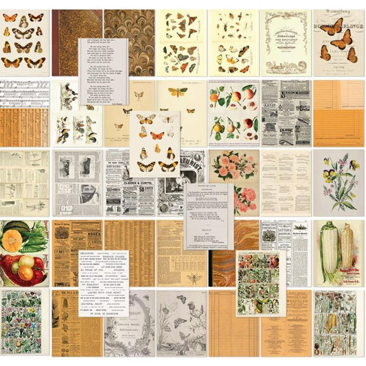 49 and Market - Peach Collage Sheets