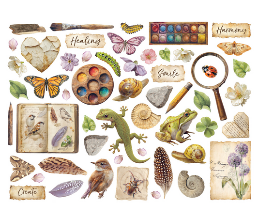 Stamperia - All Around - Die Cuts