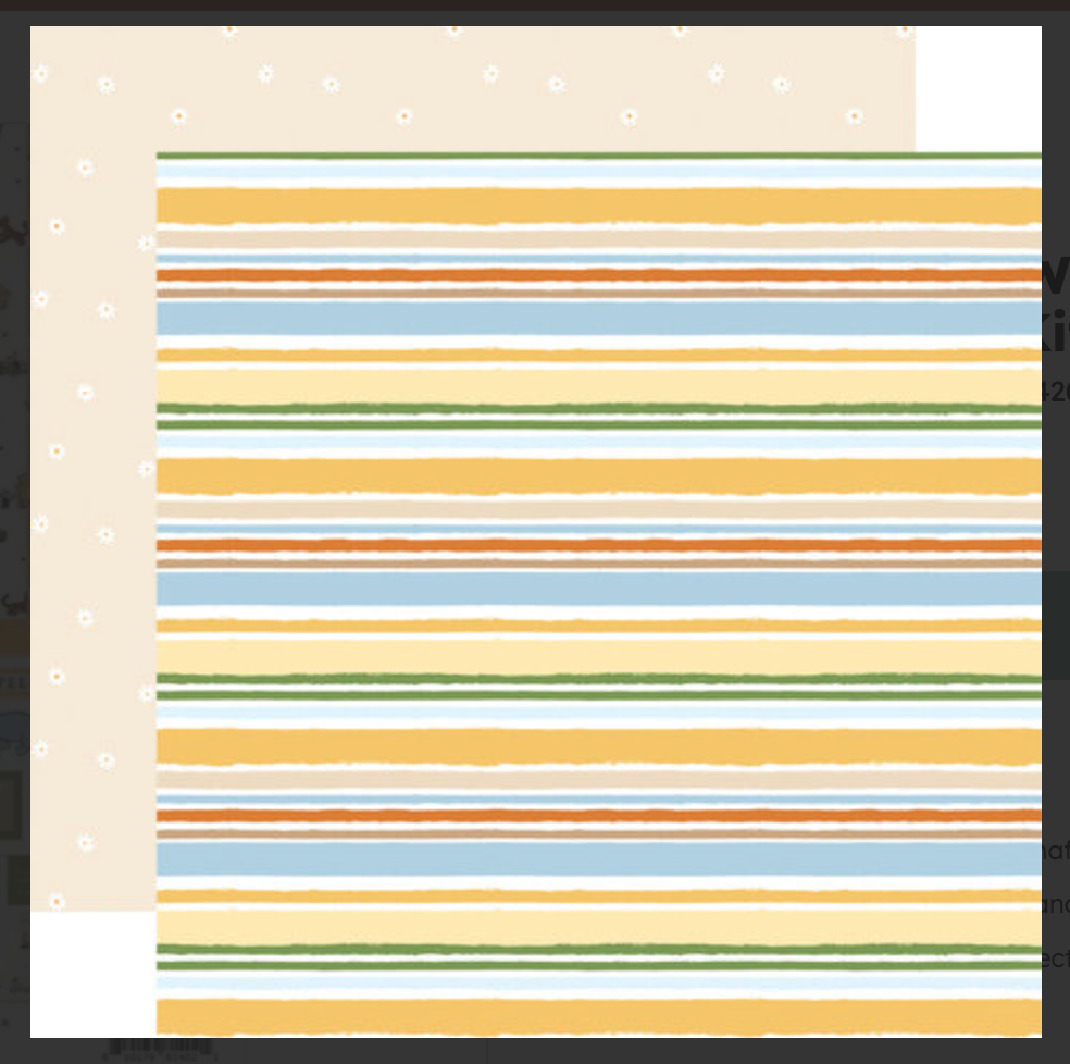 Echo Park - Winnie the Pooh Baby