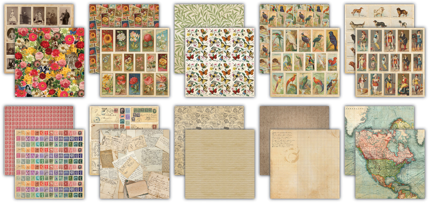 Craft consortium the collector