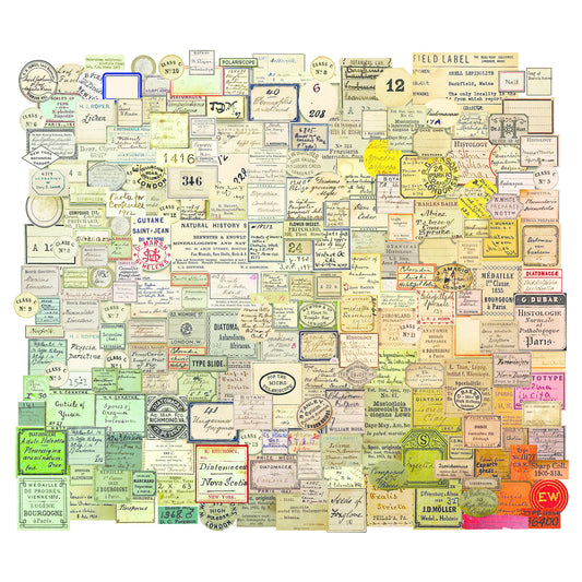 Idea-ology Tim Holtz Curator Snippets Ephemera Pack