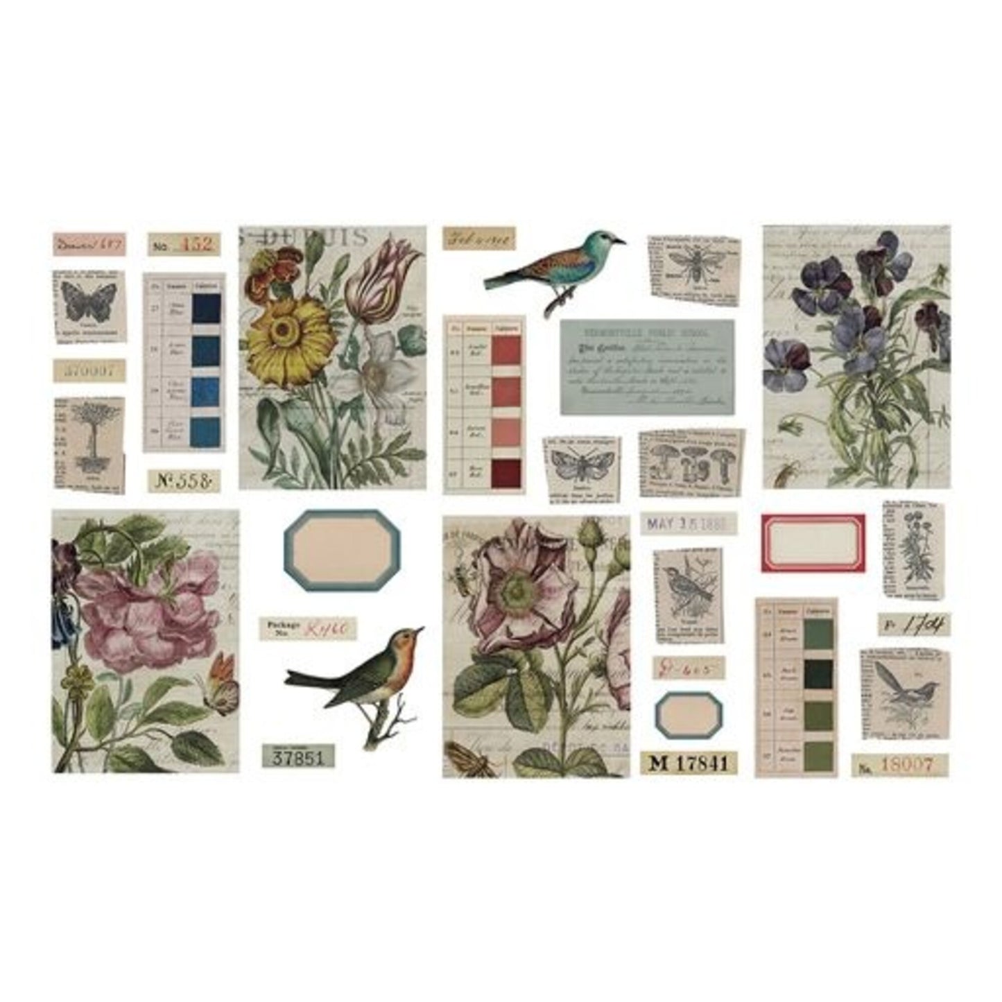 Idea-ology Tim Holtz transparent things 2