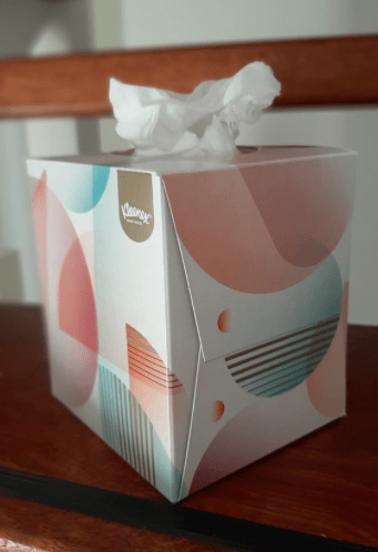 Craft package Tissue box (house)