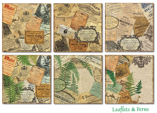 Decorer – Leaflets &amp; Ferns 8x8 Scrapbook-Papier