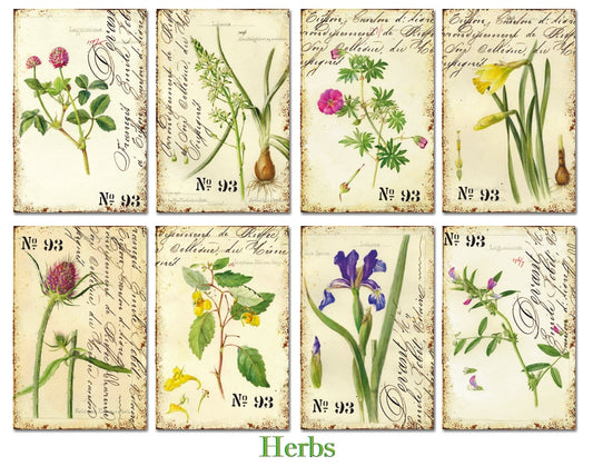 Decorer - Herbs 7x10.8 cm scrapbook paper